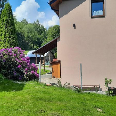 Domek Przy Zlotym Groniu Istebna Zewnętrze zdjęcie